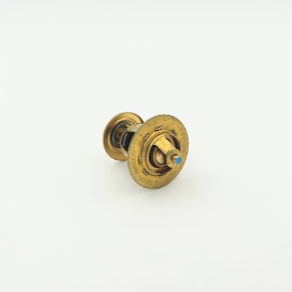 Picture of Thermostat - 80-84 Liquifire - AM54852