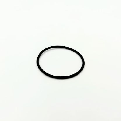Picture of Chain Case Bearing O-ring - U42111 Replacement