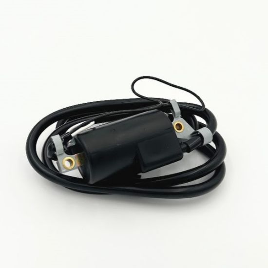 Picture of Ignition Coil - Kohler Spitfire