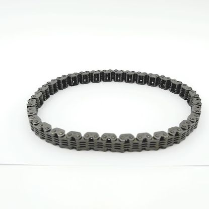 Picture of Chaincase Chain - 64 Pitch 11 Wide - M69026